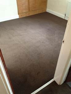 Carpet Services