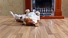 Hardwood Floor Rugs