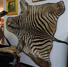 Zebra Rug